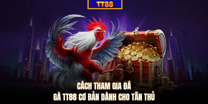 Cách tham gia đá gà TT88 cơ bản dành cho tân thủ