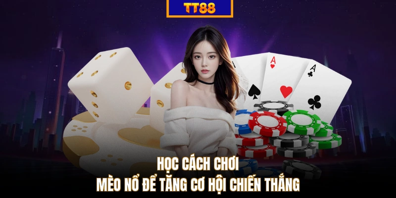 Học cách chơi Mèo Nổ để tăng cơ hội chiến thắng