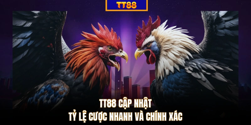 TT88 cập nhật tỷ lệ cược nhanh và chính xác